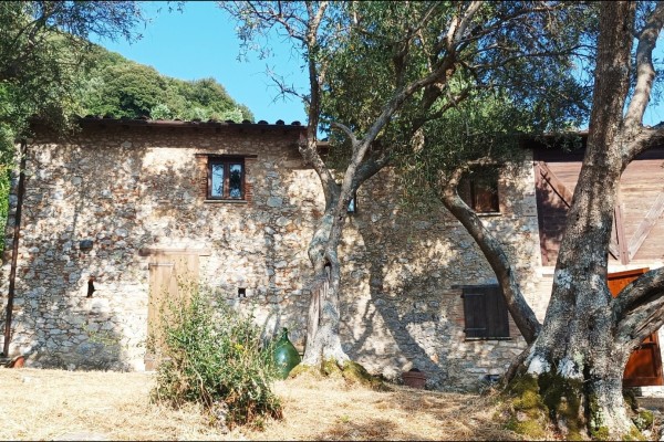 Casale