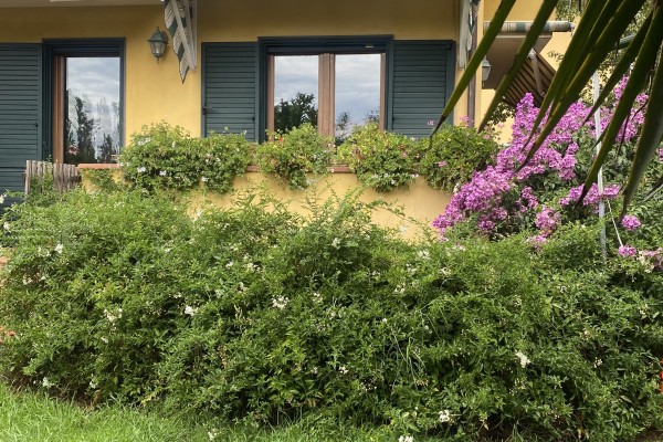 Casa Semi Indipendente