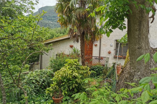 Casa Semi Indipendente
