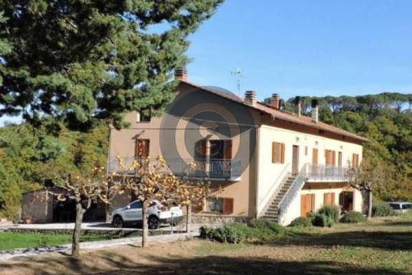 Farm For Sale In Lisciano Nicc