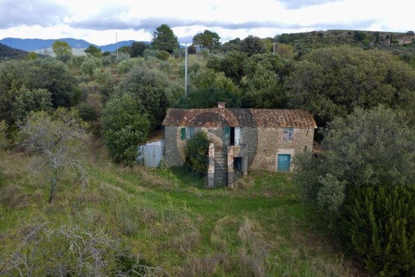 Rustic House