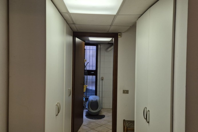 Villa in Vendita a Segrate 34 
