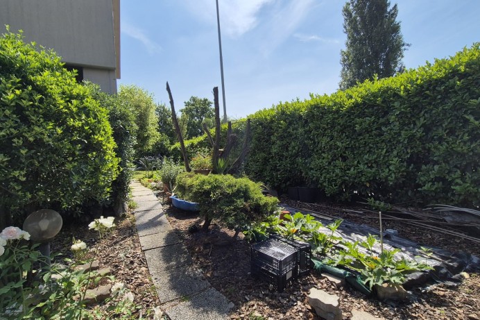 Villa in Vendita a Segrate 41 