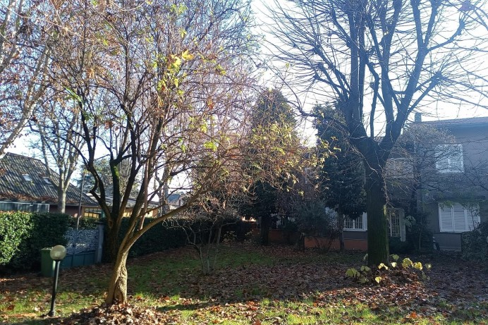 Villa in Vendita a Brugherio 19 