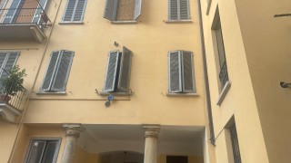 Immagine 22 