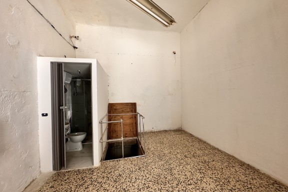 Immagine 2 