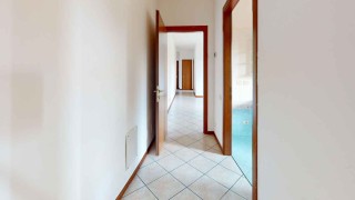 Immagine 25 
