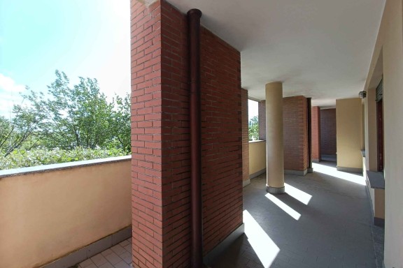 Immagine 2 