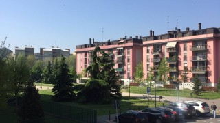 Immagine 11 