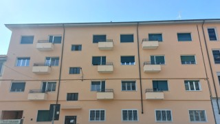 Immagine 21 