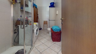 Immagine 26 