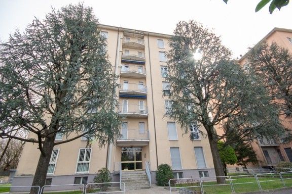 Immagine 2 