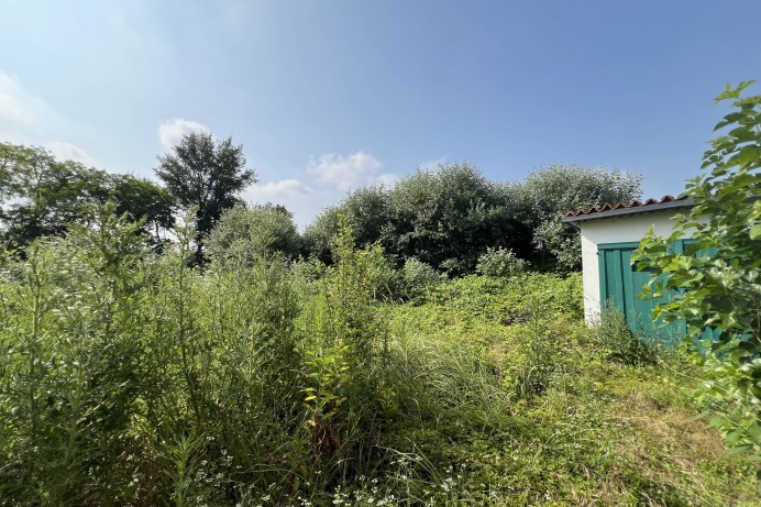 Villa in Vendita a Paltana - Mandria 6 