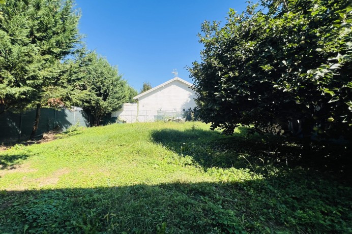 Casa Indipendente in Vendita a Paltana - Mandria 37 