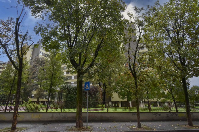 Appartamento in Vendita a Cologno Monzese 20 