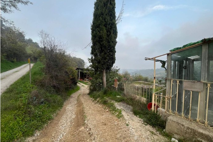 Terratetto - Terracielo in Vendita a Ripatransone 10 