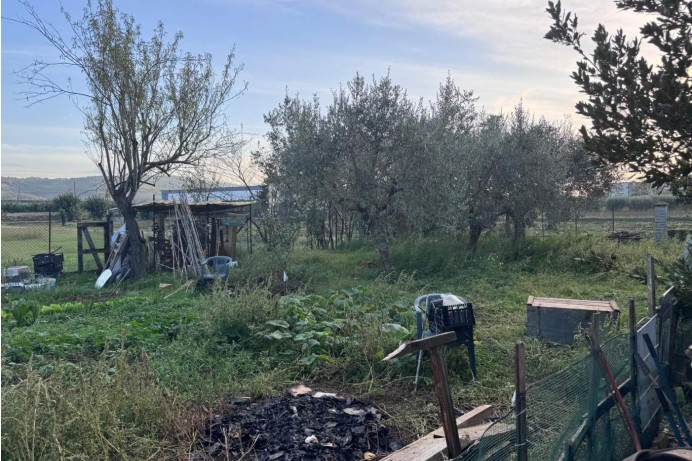 Terratetto - Terracielo in Vendita a Monsampolo Del Tronto 29 