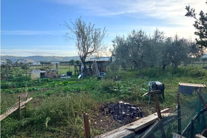 Terratetto - Terracielo in Vendita a Monsampolo Del Tronto 31 