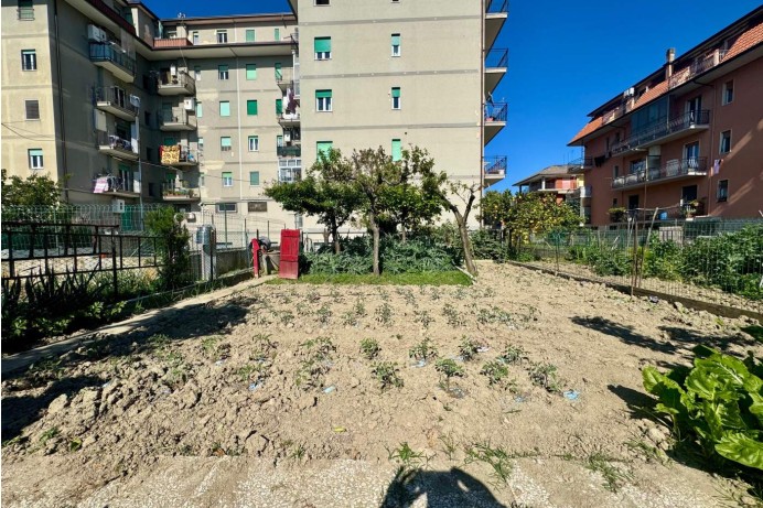 Appartamento in Vendita a San Benedetto Del Tronto 29 