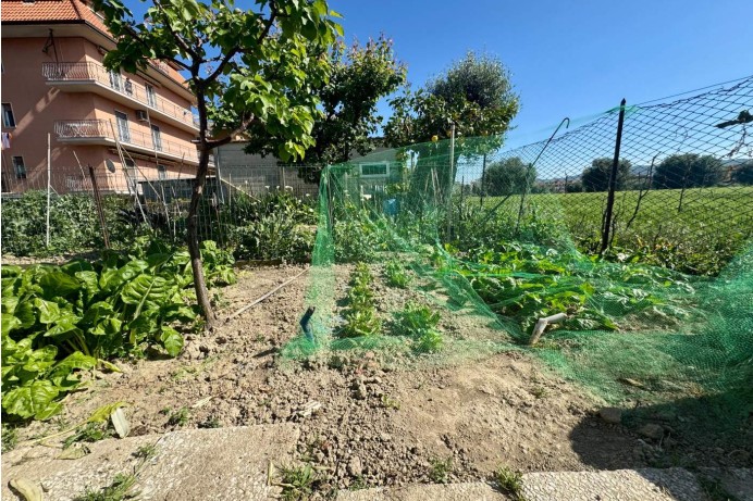 Appartamento in Vendita a San Benedetto Del Tronto 28 