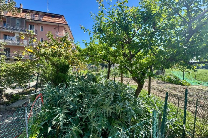 Appartamento in Vendita a San Benedetto Del Tronto 3 