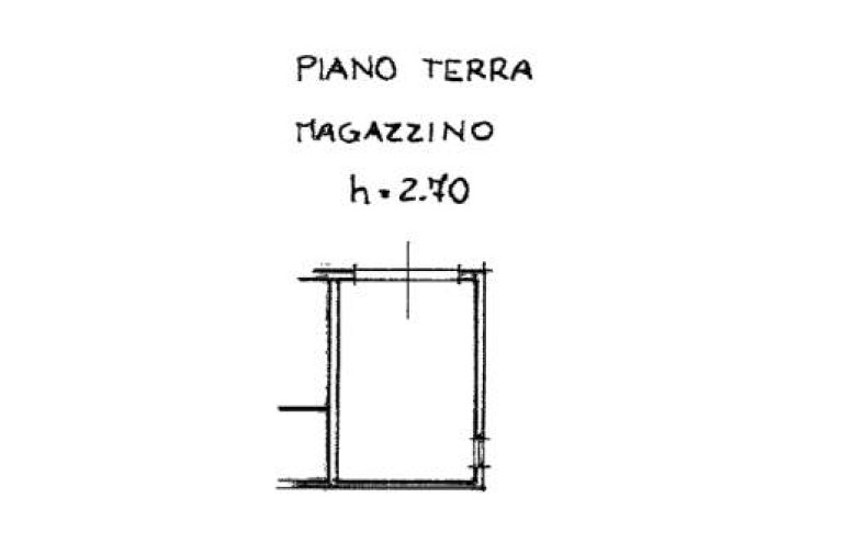 Immagine 19 