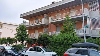 Immagine 23 