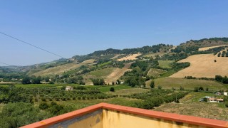 Immagine 38 