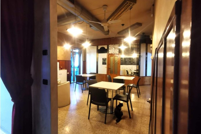 Attività Commerciale in Vendita a Sant'omero 8 