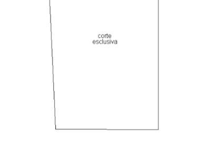 Immagine 14 