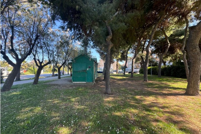 Attività Commerciale in Vendita a San Benedetto  Del Tronto 8 