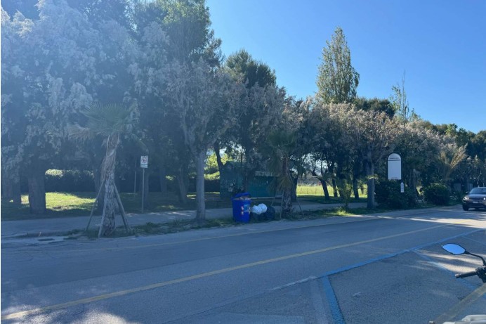 Attività Commerciale in Vendita a San Benedetto  Del Tronto 4 