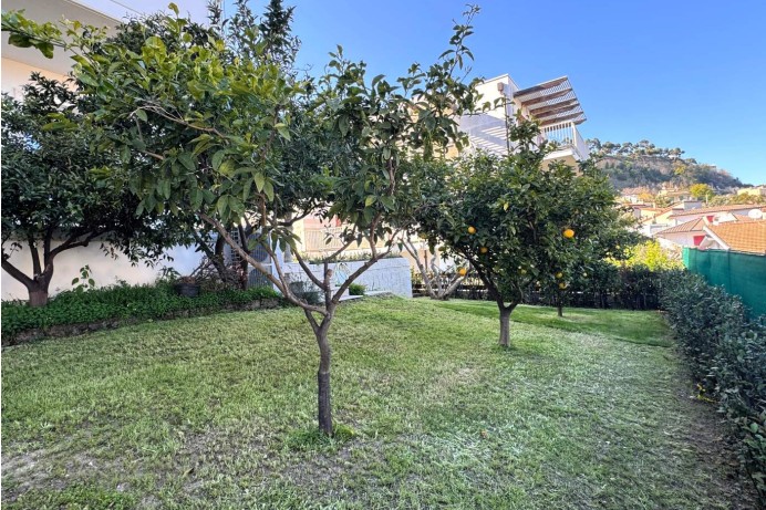 Villa in Vendita a Grottammare 35 