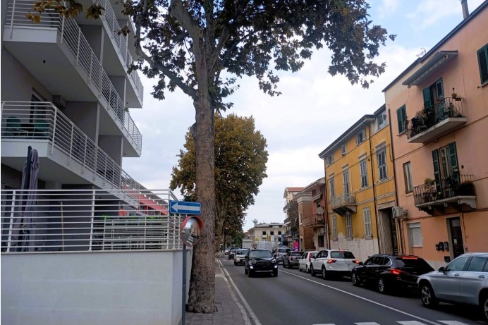 Appartamento in Vendita a San Benedetto Del Tronto 15 