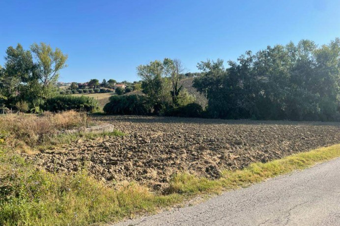 Casa Indipendente in Vendita a Ancarano 0 