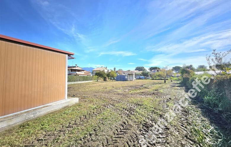 Terreno agricolo in vendita a Marina Di Massa (Massa) - Foto 5