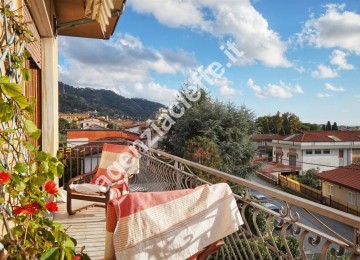 Massa, località mirteto meno