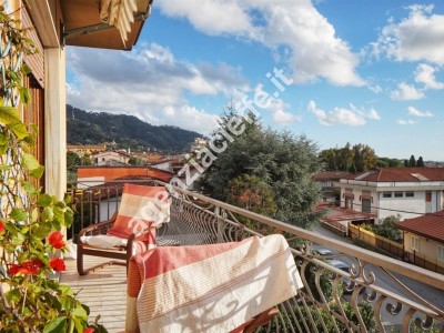 Massa, località Mirteto meno ...