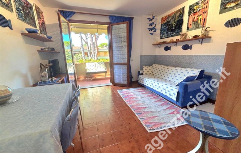 Appartamento in vendita a Marina Di Massa (Massa) - Foto 4