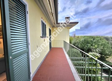 Marina di massa – centraliss