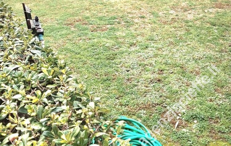 Villetta a schiera in vendita a Marina Di Massa (Massa) - Foto 22