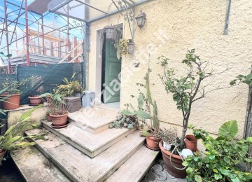 Montignoso – località cerva