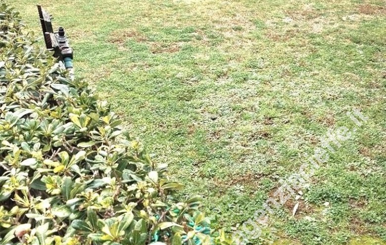 Villetta a schiera in vendita a Marina Di Massa (Massa) - Foto 17