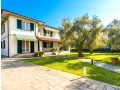 Massa, eleganza, spazio ed eff
