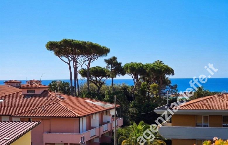 Appartamento in vendita a Marina Di Massa (Massa) - Foto 30