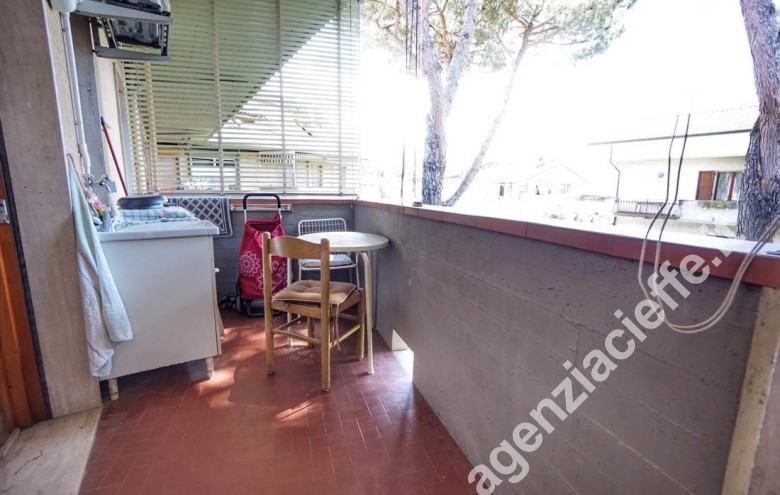Appartamento in vendita a Marina Di Massa (Massa) - Foto 6
