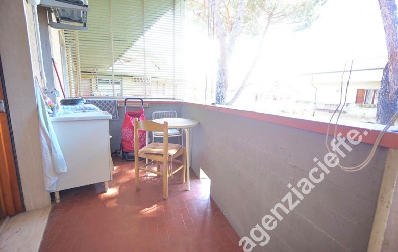Appartamento in vendita a Marina Di Massa (Massa) - Foto 28