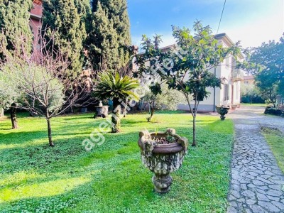 Massa, Zona Viali, in posizion...