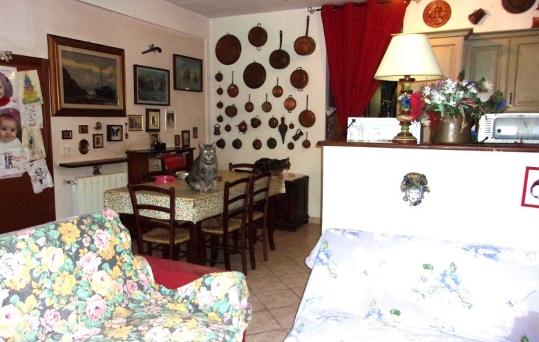 Appartamento in vendita a Renella (Montignoso) - Foto 3