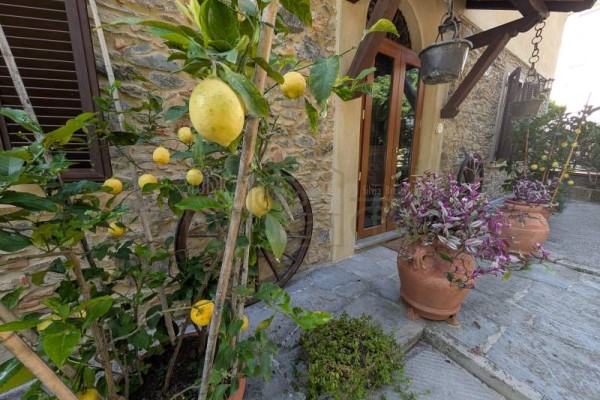 Casa Indipendente In Vendita A